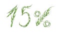 15% text, Fifteen percent from green leaves. Watercolor illustration.